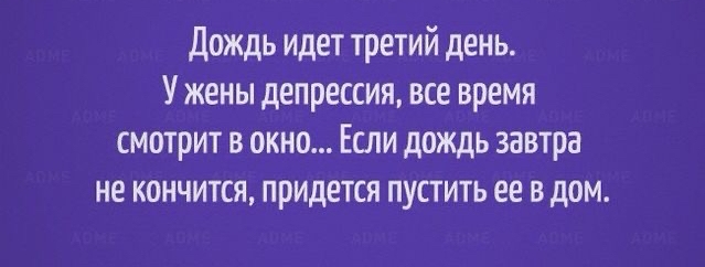 дождь идет третий день У жены депрессия все время смотрит в окно Если дождь завтра не кончится придется пустить ее в дом