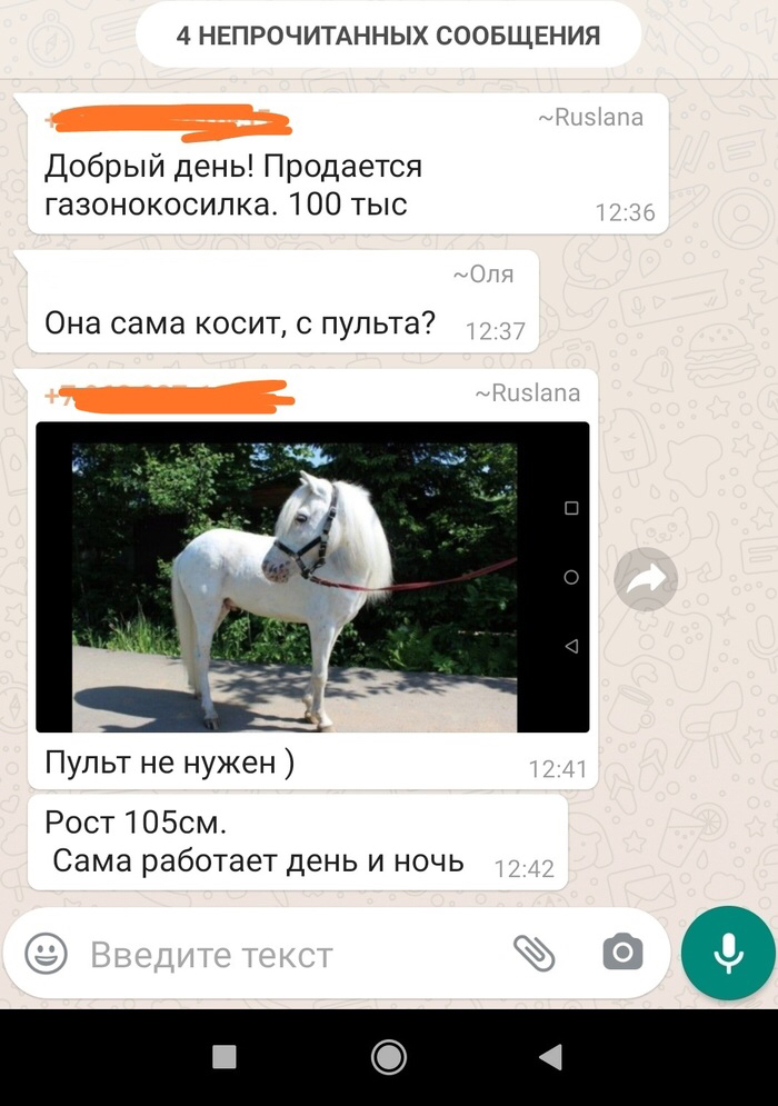 4 НЕПРОЧИТАННЫХ СООБЩЕНИЯ Добрый день Продается газонокосилка 100 тыс Она сама косит пульта Пульт не нужен Рост 105см Сама работает день и ночь