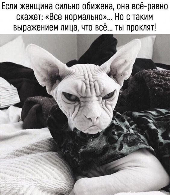 Если женщина сильно обижена она всёравно скажет Все нормально Но с таким выражением лица что всё ты проклят