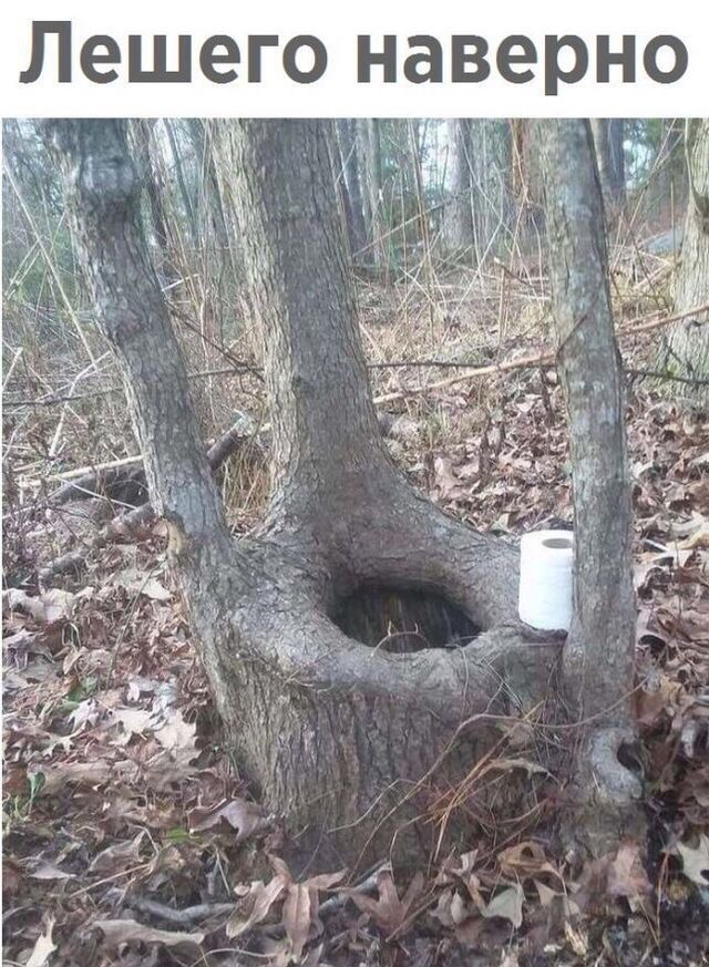 Лещего наверно