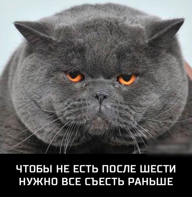 2 ЧТОБЫ НЕ ЕСТЬ ПОСЛЕ ШЕСТИ НУЖНО ВСЕ СЪЕСТЬ РАНЬШЕ