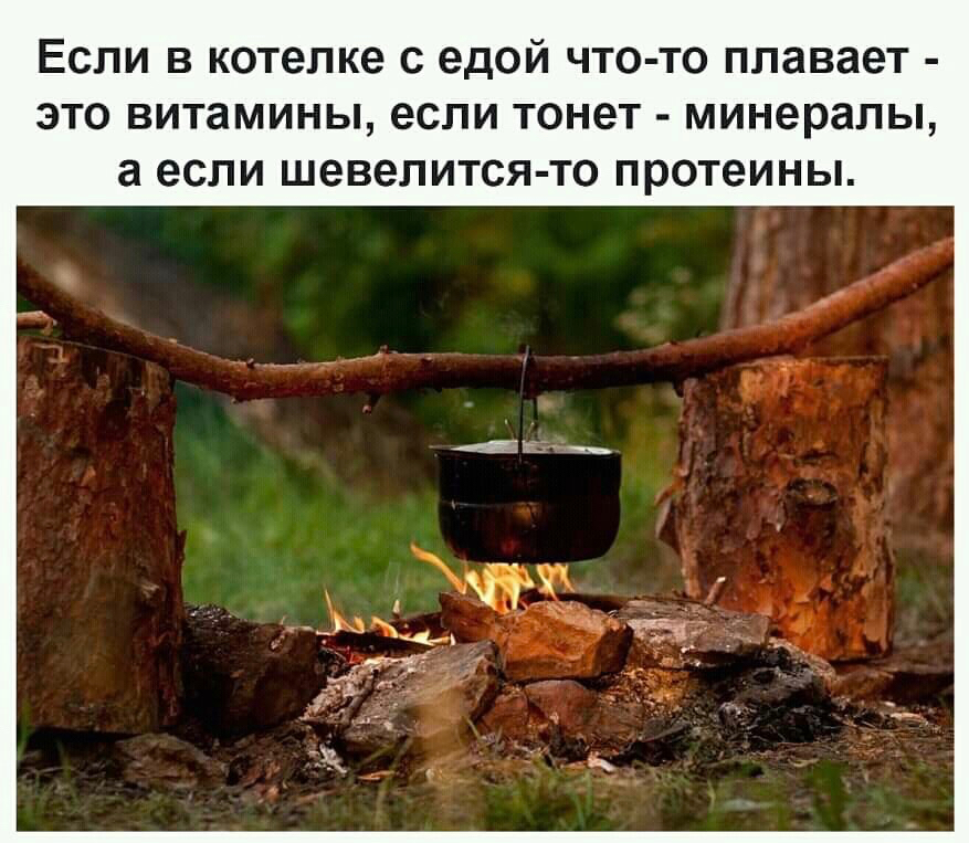 ЕСЛИ В котелке С едой ЧТО ТО плавает ЭТО витамины если ТОНЗТ минералы а если шевелится то протеины