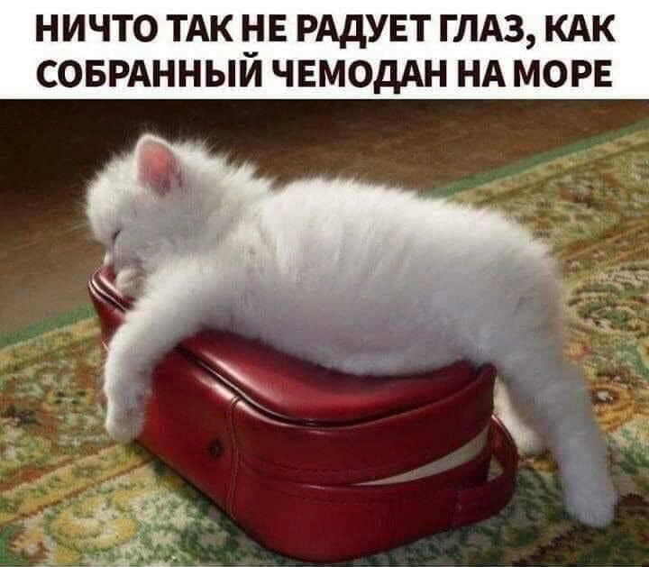 НИЧТО ТАК _Е РАДУЕТ ГЛАЗ КАК СОБРАННЫИ ЧЕМОДАН НА МОРЕ