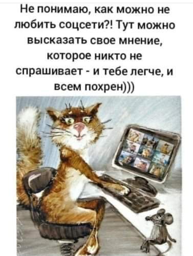 Не понимаю как можно не любить соцсети Тут можно высказать свое мнение которое никто не спрашивает и тебе легче и всем похрен