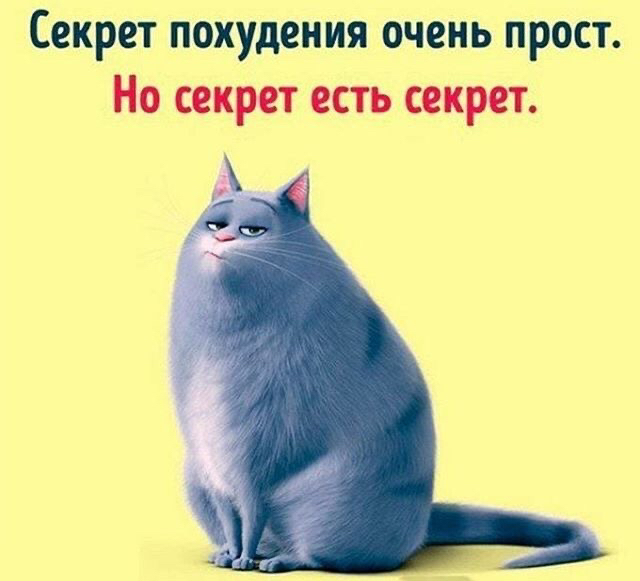 Секрет похудения очень прост Но секрет есть секрет