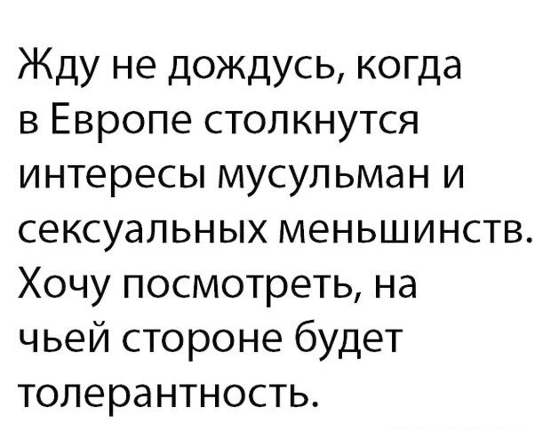 Жду не дождусь когда в Европе столкнутся интересы мусульман и сексуальных меньшинств Хочу посмотреть на чьей стороне будет толерантность