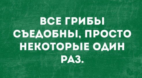 ВСЕ ГРИБЫ СЪЕАОБНЫ ПРОСТО НЕКОТОРЫЕ ОАИН РАЗ