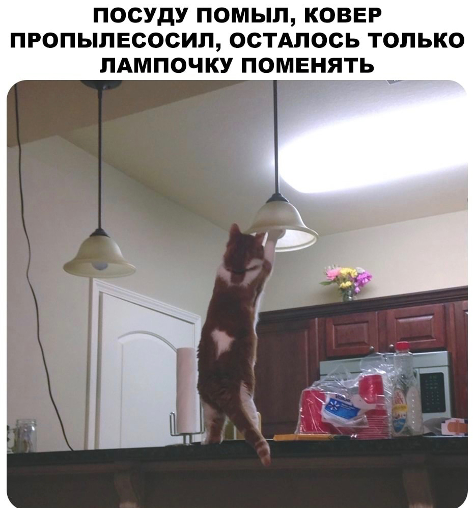 ПООУДУ ПОМЫЛ КОВЕР ПРОПЫЛЕСОСИЛ ОСТАЛОСЬ ТОЛЬКО ПАМПОЧКУ ПОМЕНЯТЬ