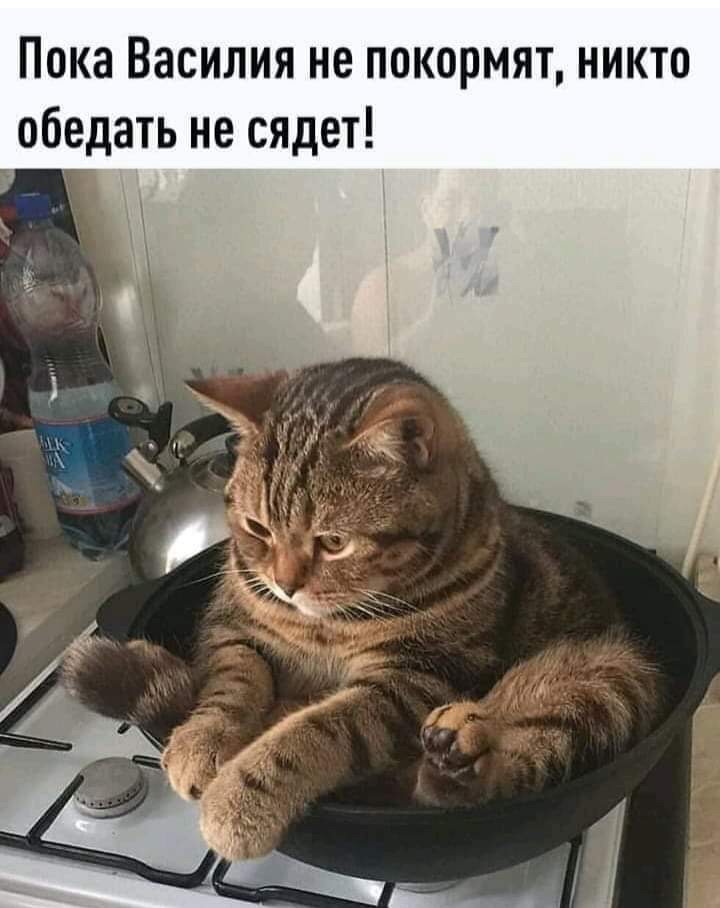 Пока Василия не покормят никто обедать не сядет