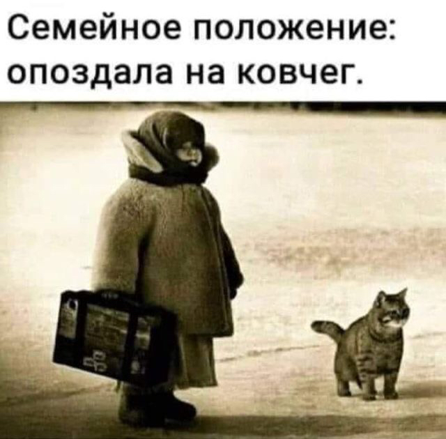 семейное положение опоздала на КОВЧ6Г ___