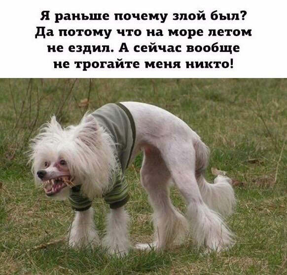 Я раньше почему злой был да потому что на море летом не ездил А сейчас вообще не трогайте меня никто