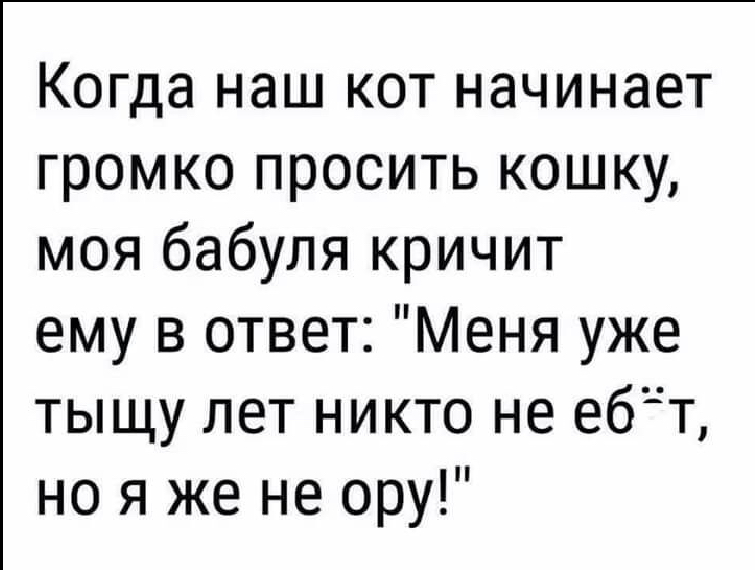 Когда наш кот начинает громко просить кошку моя бабуля кричит ему в ответ Меня уже тыщу лет никто не ебтт но я же не ору