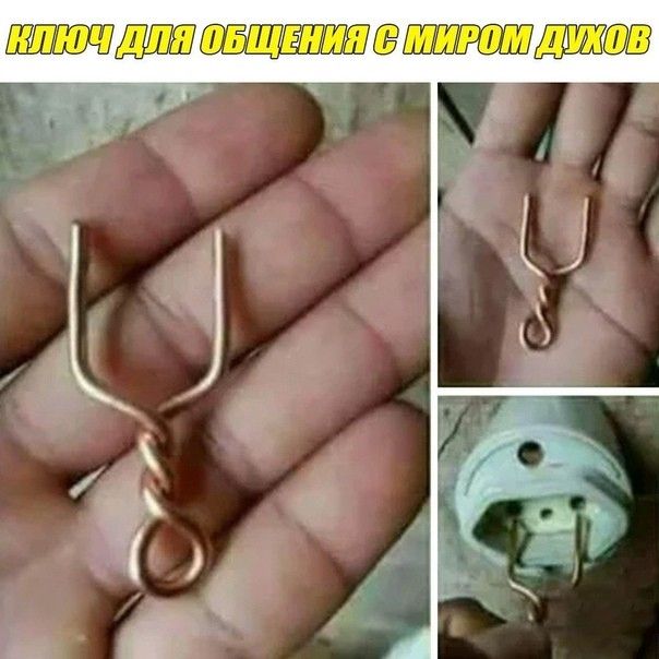 ШЁШШ