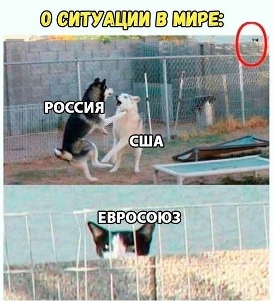 1 ЕВРОСОЮЗ ___ пос да ЖЁЕЖЁА