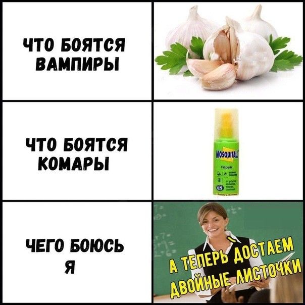 ЧТО БОЯТОЯ ВАМПИРЫ ЧТО БОЯТОЯ КОМАРЫ ЧЕГО БОЮОЬ Я