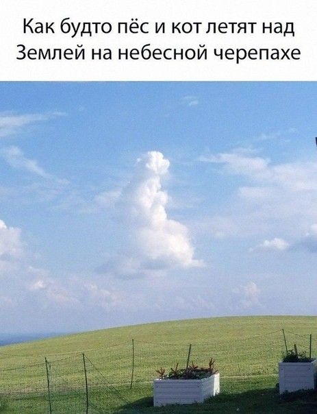 Как будто пёс и котлетят над Землей на небесной черепахе