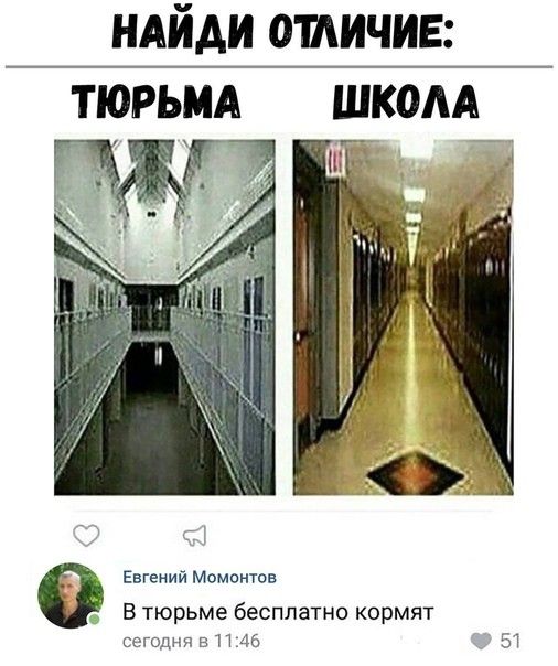 ндйди отличие тюрьмд шком и _ т Евгений Момонюв В тюрьме бесплатно кормят Сегодня 51145 5