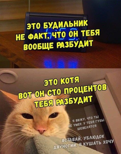 ЭТВ БАЁАРЁИК НЕ ФАКТЭЧШ 0__Н ТЕБЯ ВООБЩЕ РАЗБУАИТ