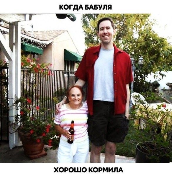 КОГДА БАБУЛЯ ХОРОШО КОРМИЛА