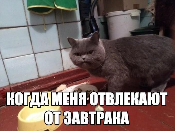 ШПД МЕНПЩВПЕМЮТ ШЗДВТРШШ