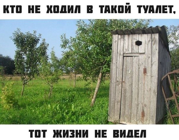 ПП НЕ ипдип В ТМШЙ ПМЕТ ПП ЖИЗНИ НЕ ВИДЕЛ