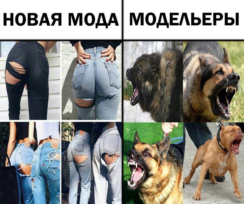 НОВАЯ МОДА МОДЕАЬЕРЫ