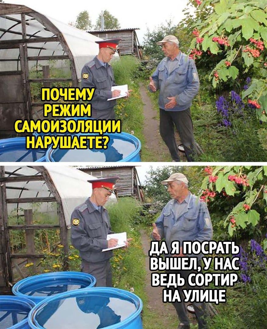 7 _ _ дА я гіосРАТЬ вышел у ндсёт ввдь сортир НАУЛИЦЕ