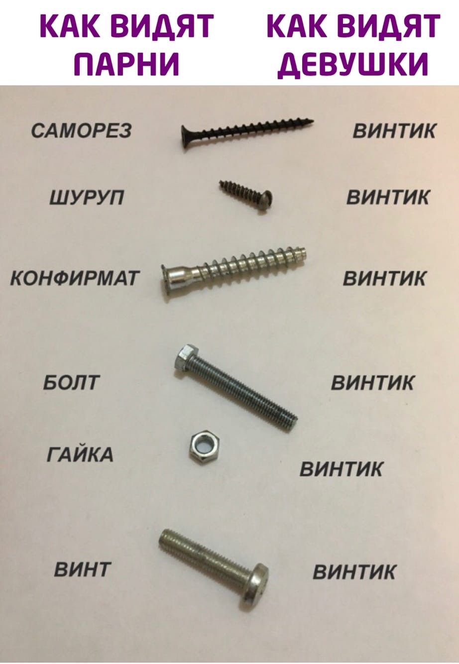 КАК ВИДЯТ КАК ВИДЯТ ПАРНИ АЕ ВУШ КИ САМОРЕЗ винтик шуруп винтик конфирмдт винтик БОЛТ винтик ГАИКА винтик винт винтик
