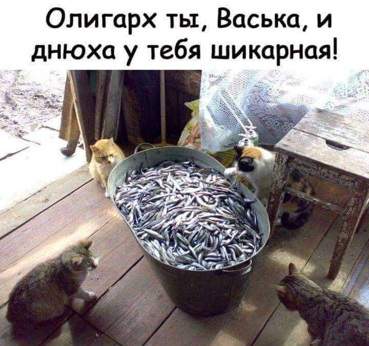 Олигарх ты Васька и днюха у тебя шикарная