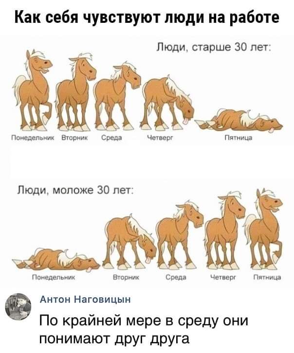 Как себя чувствуют люди на работе Люди старше 30 лет _ Ь Пвиедепииик Егппиик ч п Антон Наговицын По крайней мере в среду они понимают друг дРУГа