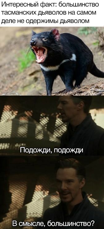 Инт ресныи факт опьшпнство к анскпх дьявопов н деле не Одер ы дьявопо ЙОДОЖДи педожпи В смысле большинство