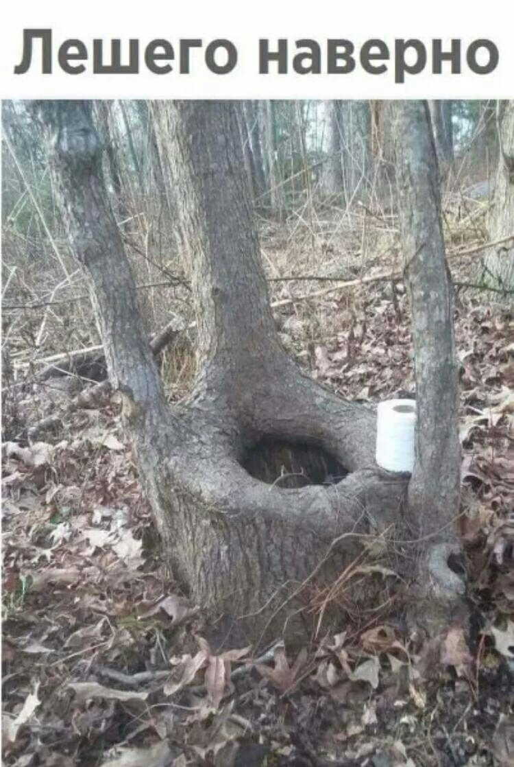 Лешего наверно