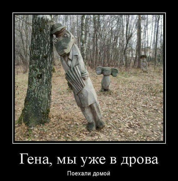 Гена мы уже в дрова Поехали дрмой