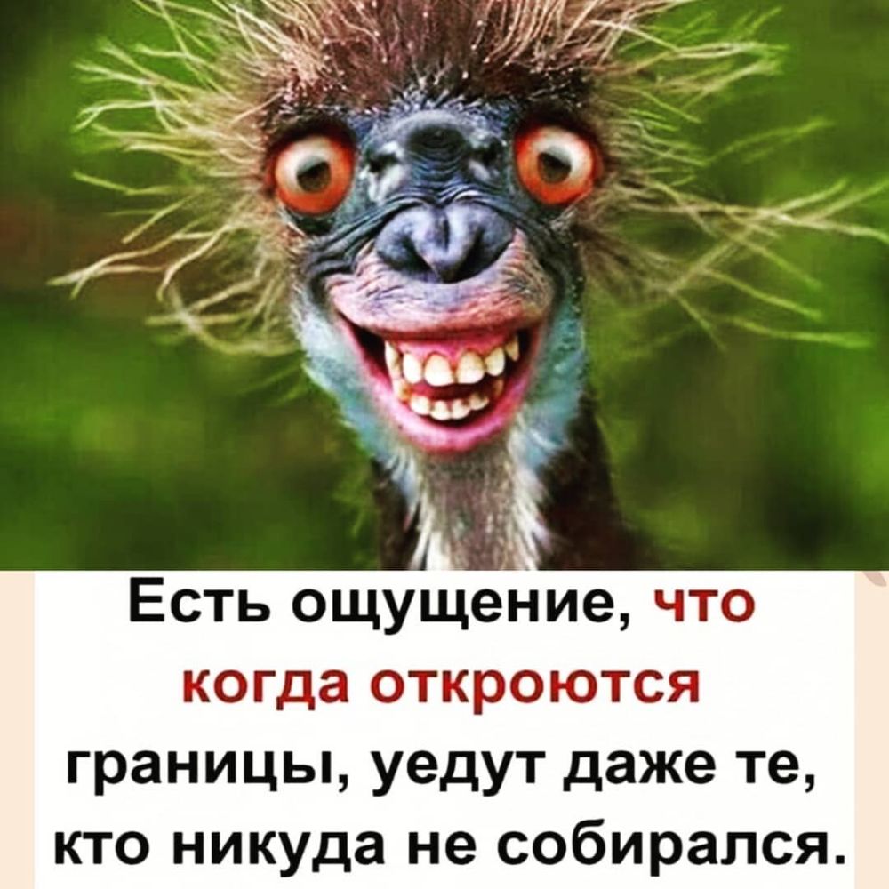 Есть ощущение что когда откроются границы уедут даже те кто никуда не собирался