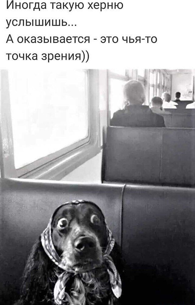 Иногда такую херню услышишь А оказывается это чья то точка зрения