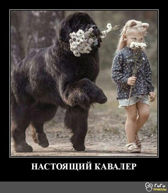 НАСТОЯЩИЙ КАВАЛЕР