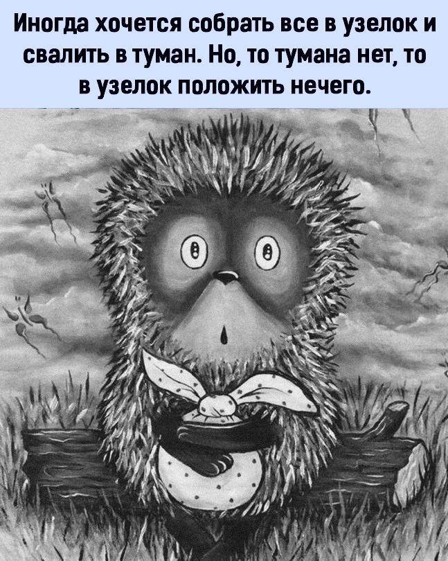 Иногда хочется собрать все в узелок и свалить в туман Но то тумана нет то в узелок положить нечего ч гЁ ж