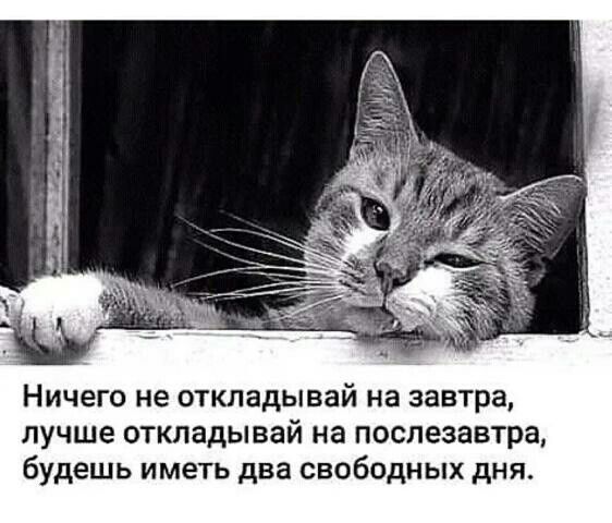 Ничего не откладывай на завтра лучше откладывай на послезавтра будешь иметь два свободных дня