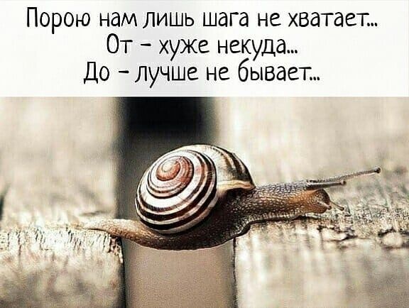 Порою нам лишь шага не хватает От хуже некуда До лучше не бывает