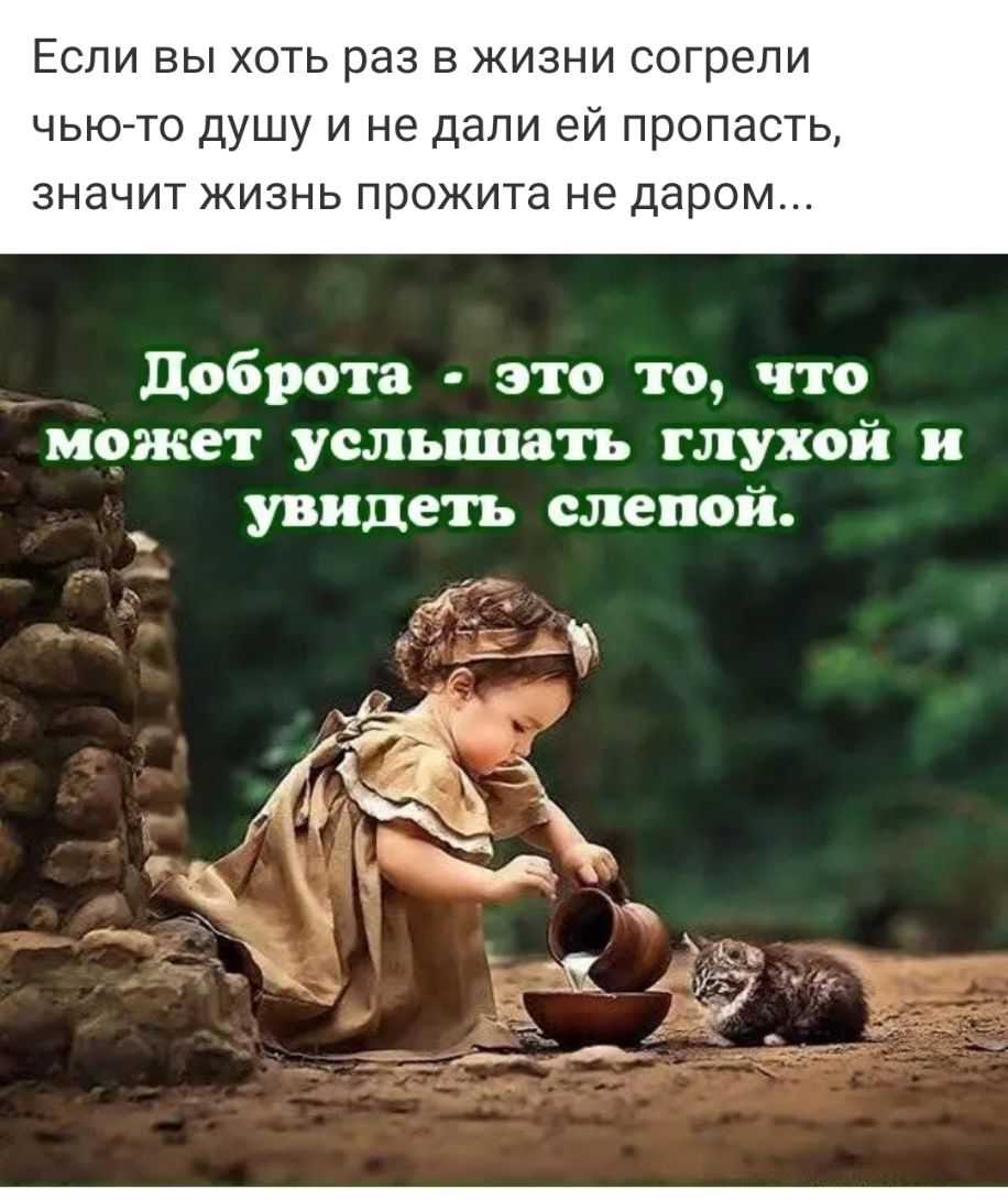 Если вы хоть раз в жизни согрели чью то душу и не дали ей пропасть ЗНЭЧИТ ЖИЗНЬ прожита не даром доброта это то что может услышать глухой и увидеть слепой а Аік