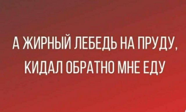 А ЖИРНЫЙ ЛЕБЕДЬ НА ПРУДУ КИДАЛ ОБРАТНО МНЕ ЕДУ