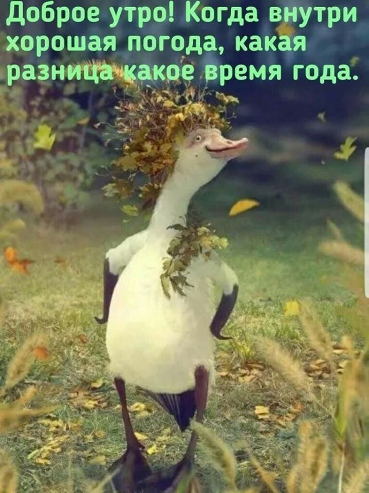 Доброе утро Когда вйутри _ хорошая погода какая разниЦа какое ремя года Ч _ _ і