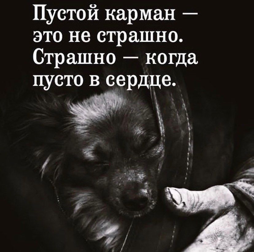 Пустой карман это не страшно Страшно когда пусто в сердце