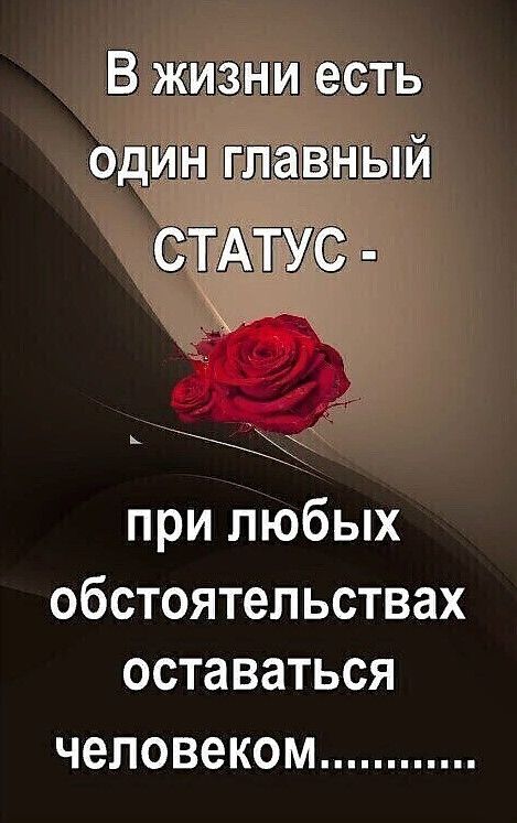 В жизни есть одлнглавный при любых обстоятельствах оставаться человеком