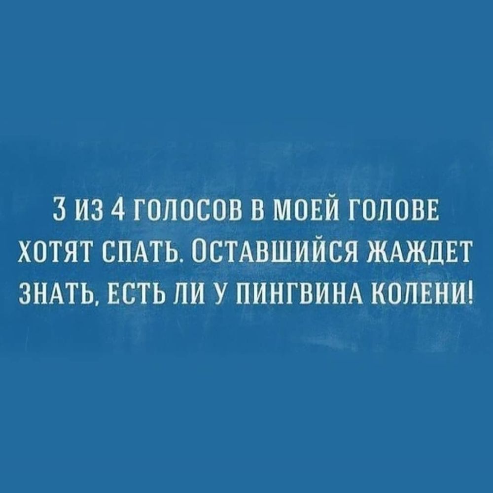 3 ИЗ 4 ГОЛОСОВ В МОЕЙ ГОЛОВЕ ХОТЯТ СПАТЬ ОСТАВШИЙСЯ ЖАЖДЕТ ЗНАТЬ ЕСТЬ ЛИ У ПИНГВИНА КОЛЕНИ
