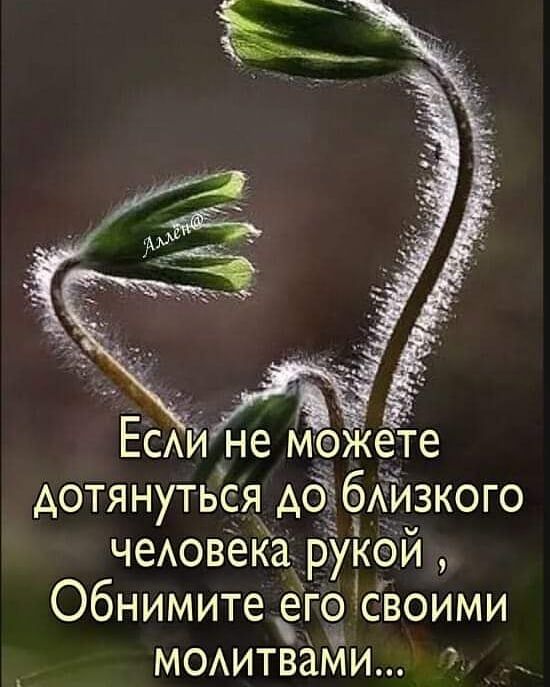 ЕСАИ не м9жете дотянуться до бАизкого чеАовека рТук9й Обнимите его своими МОАитвами 4 _