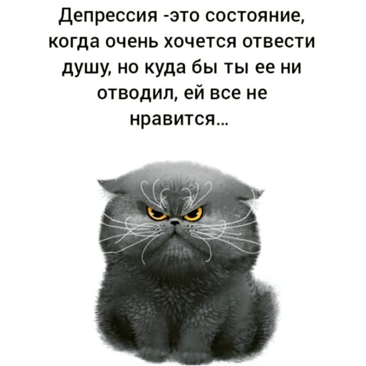 Депрессия это состояние когда очень хочется отвести душу но куда бы ты ее ни отводил ей все не нравится