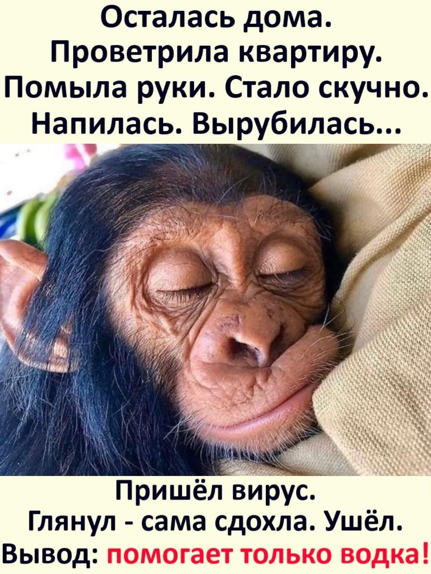 Осталась дома Проветрила квартиру Помыла руки Стало скучно Напилась Вырубилась Пришёл вирс Глянул сама Сдохла Ушёл Вывод
