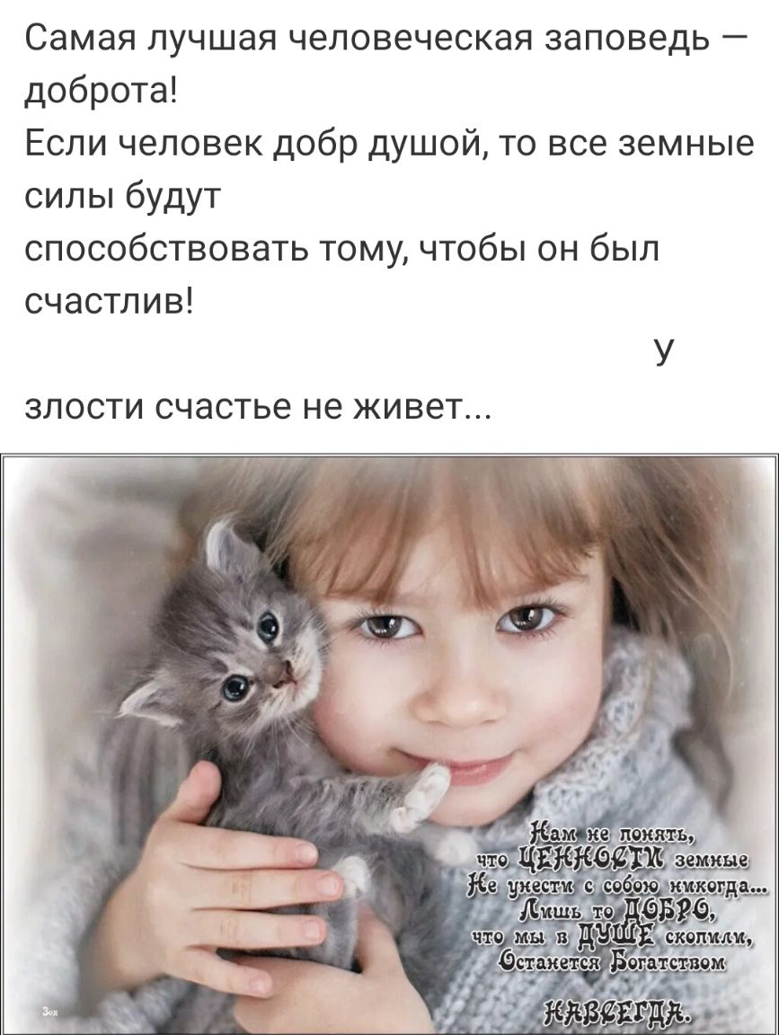 Самая лучшая человеческая заповедь доброта Если человек добр душой то все земные силы будут способствовать тому чтобы он был счастлив У ЗЛОСТИ СЧЭСТЬЗ не ЖИВЕТ