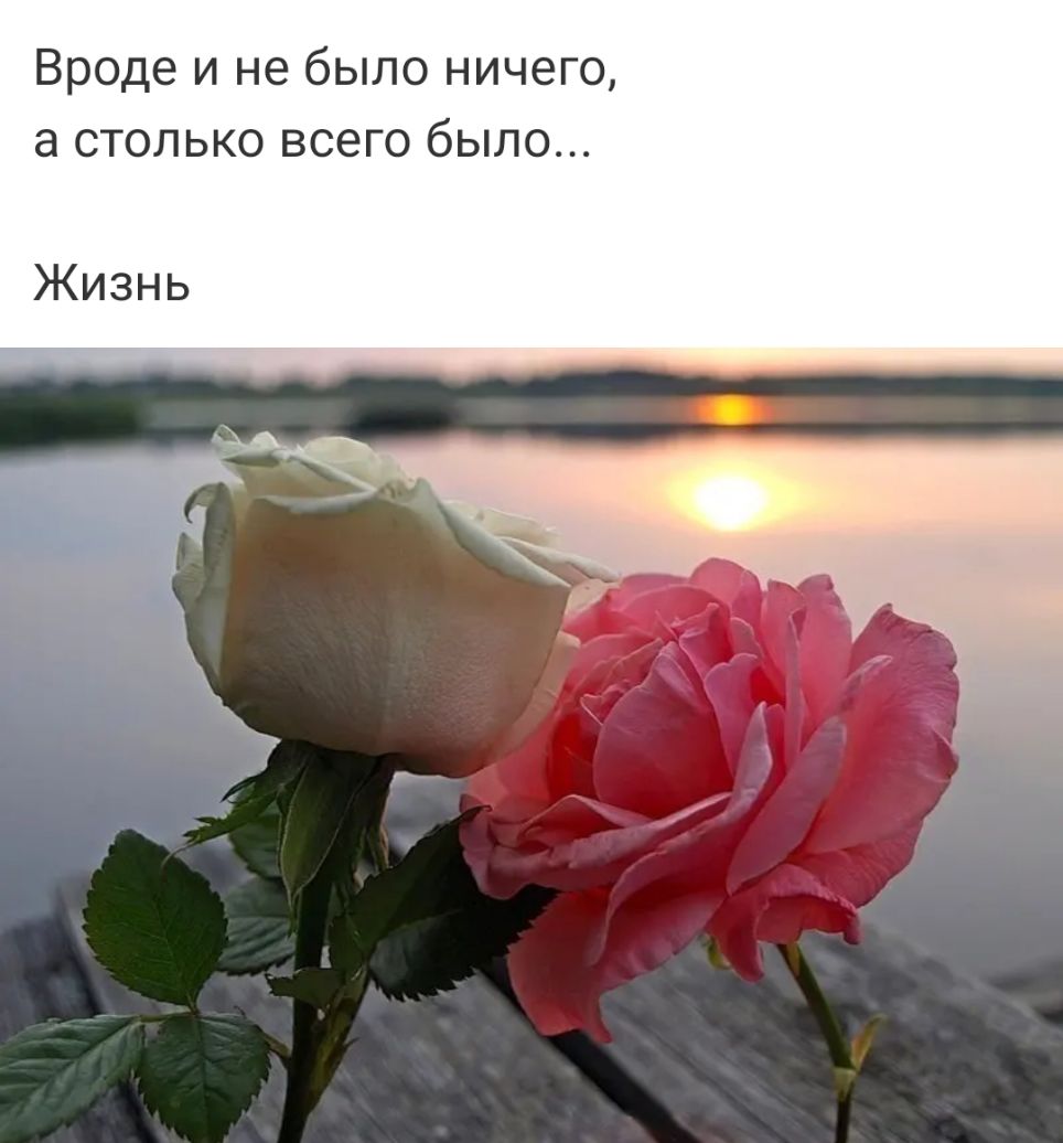 Вроде и не было ничего а столько всего было Жизнь